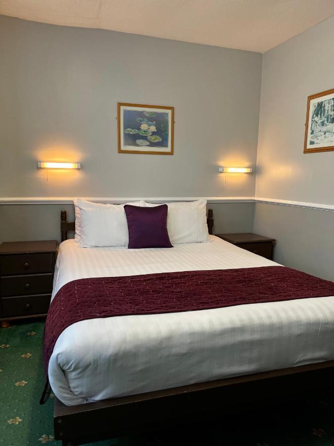 Palm Court B&B 伊尔弗勒科姆 外观 照片