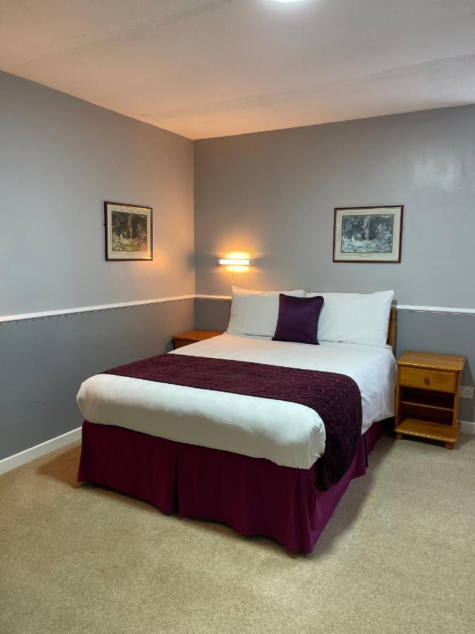 Palm Court B&B 伊尔弗勒科姆 外观 照片